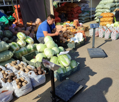 Не рубить с плеча и сгоряча