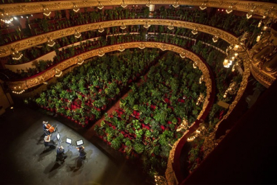 Судьба блокпостов в Алматы, концерт для растений и Lego «Один дома»