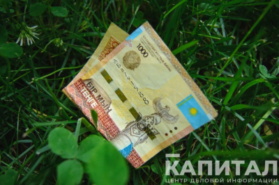 По программе Ауыл аманаты в 2024 году выдано 14 500 микрокредитов