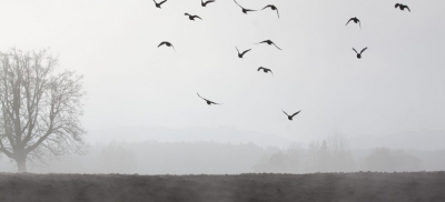 Какая погода ожидает казахстанцев в грядущие выходные