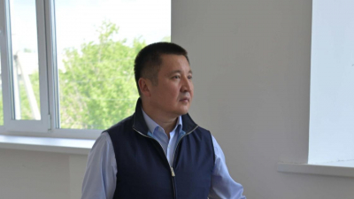 Аким Павлодарской области заявил, что уничтожить всех комаров и мошек невозможно