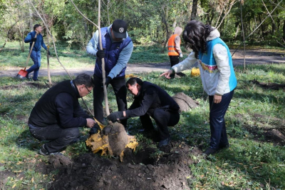В Алматы стартовала масштабная кампания по благоустройству и озеленению