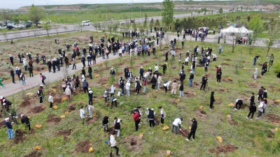 "Алматы – город-сад": алматинцы высадили более 8 тысяч деревьев